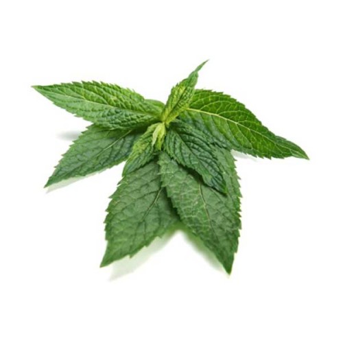 Peppermint Therapeutic Grade Essential Oils 3